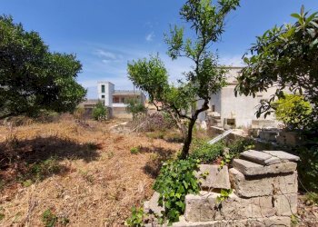 Foto 32 - Independent house Via De Amicis
 
56, Salve - photo 32