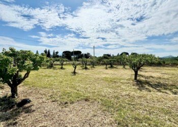 Foto 9 - Villa Contrada Tobia, Partinico - photo 9