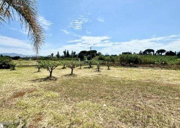 Foto 27 - Villa Contrada Tobia, Partinico - photo 27