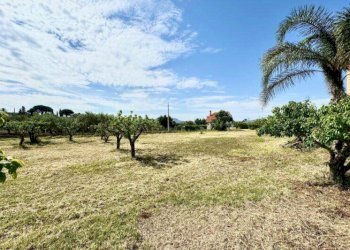 Foto 28 - Villa Contrada Tobia, Partinico - photo 28