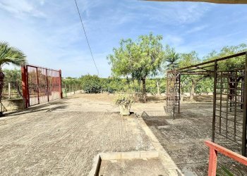 Foto 20 - Casa semi indipendente Bosco Falconeria, Partinico - foto 20