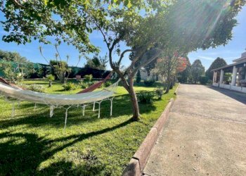 Foto 29 - Villa M. S. S. Del Ponte, SP63, Partinico - foto 29