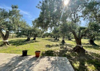 Foto 31 - Villa M. S. S. Del Ponte, SP63, Partinico - foto 31