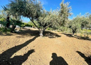 Foto 38 - Villa M. S. S. Del Ponte, SP63, Partinico - foto 38