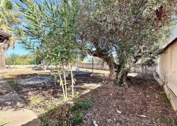 Foto 8 - Villa Contrada Cicala
 
SNC, Partinico - foto 8