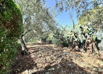 Foto 31 - Villa Contrada Milioto
 
sic, Partinico - foto 30