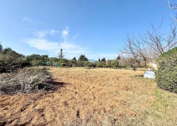 Foto 9 - Villa Contrada Bosco falconeria, Partinico - foto 9