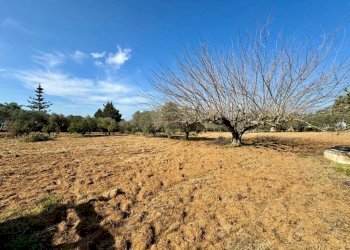 Foto 16 - Villa Contrada Bosco falconeria, Partinico - foto 16