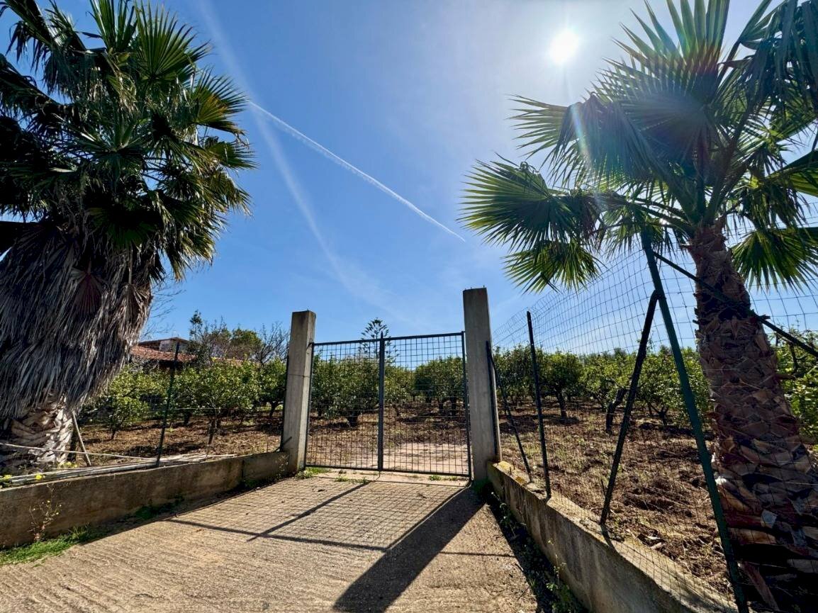 Foto 1 - Terreno agricolo Contrada San Giuseppe, Partinico - foto 1