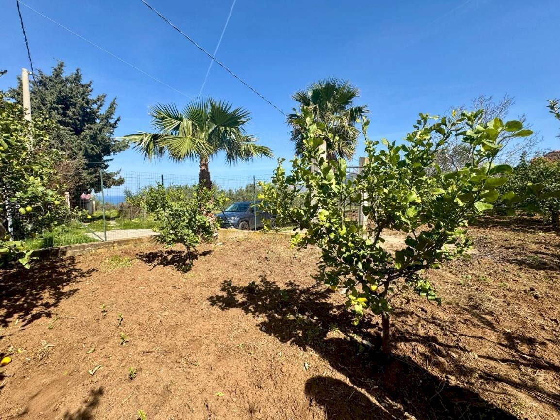 Foto 2 - Terreno agricolo Contrada San Giuseppe, Partinico - foto 2