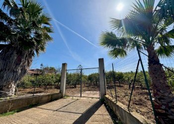 Foto 1 - Terreno agricolo Contrada San Giuseppe, Partinico - foto 1