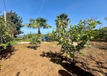 Foto 2 - Terreno agricolo Contrada San Giuseppe, Partinico - foto 2