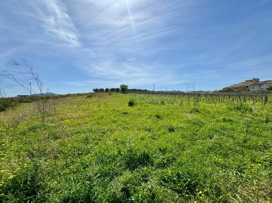 Foto 2 - Rustico Provinciale, Partinico - foto 2