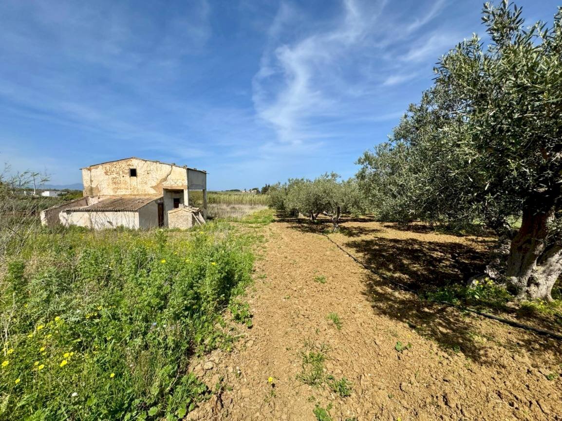 Foto 1 - Rustico Provinciale, Partinico - foto 1