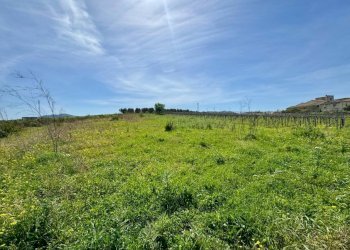 Foto 2 - Rustico Provinciale, Partinico - foto 2