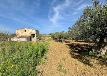 Foto 1 - Rustico Provinciale, Partinico - foto 1