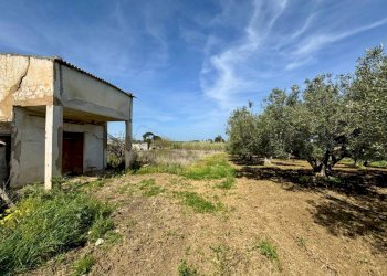 Foto 3 - Rustico Provinciale, Partinico - foto 3