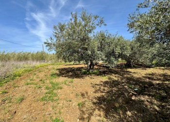 Foto 7 - Rustico Provinciale, Partinico - foto 7