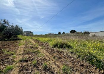 Foto 8 - Rustico Provinciale, Partinico - foto 8