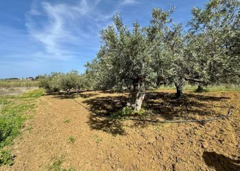 Foto 14 - Rustico Provinciale, Partinico - foto 14