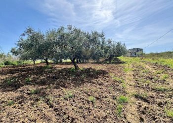 Foto 17 - Rustico Provinciale, Partinico - foto 17