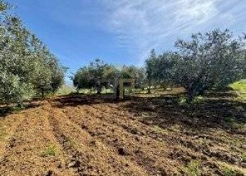 Foto 21 - Rustico Provinciale, Partinico - foto 21