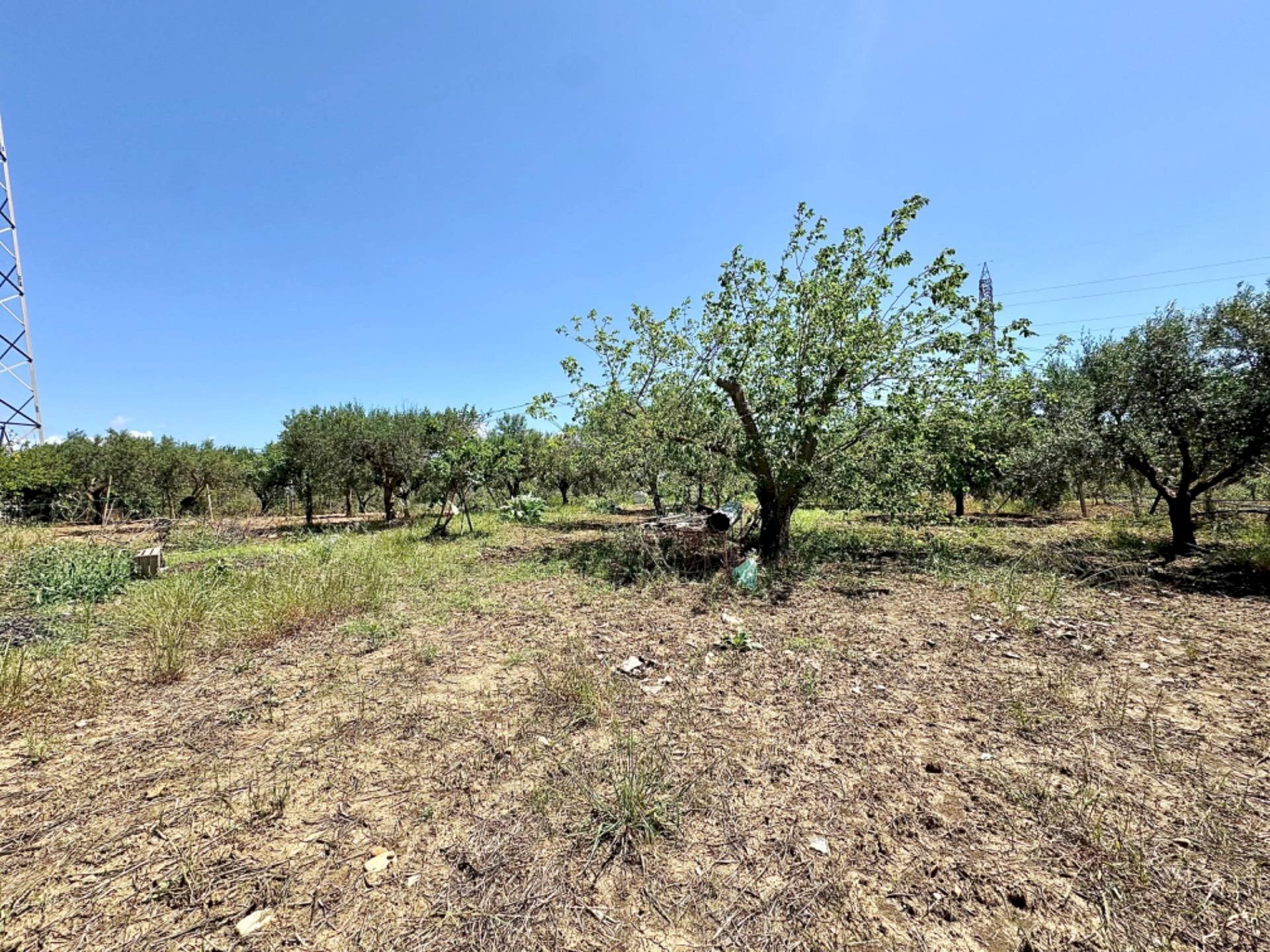 Foto 3 - Villa Bosco Falconeria
 
sic, Partinico - foto 3