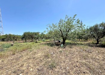 Foto 3 - Villa Bosco Falconeria
 
sic, Partinico - foto 3