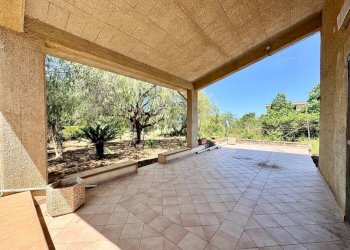 Foto 16 - Villa Bosco Falconeria
 
sic, Partinico - foto 16