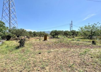 Foto 17 - Villa Bosco Falconeria
 
sic, Partinico - foto 17