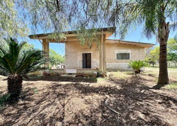 Foto 20 - Villa Bosco Falconeria
 
sic, Partinico - foto 20