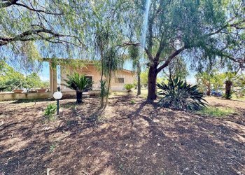 Foto 21 - Villa Bosco Falconeria
 
sic, Partinico - foto 21