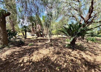 Foto 22 - Villa Bosco Falconeria
 
sic, Partinico - foto 22