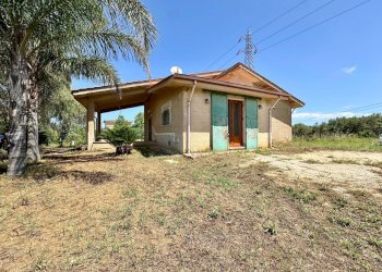 Foto 23 - Villa Bosco Falconeria
 
sic, Partinico - foto 23