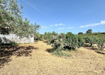 Foto 7 - Villa Bosco Falconeria
 
SNC, Partinico - foto 7