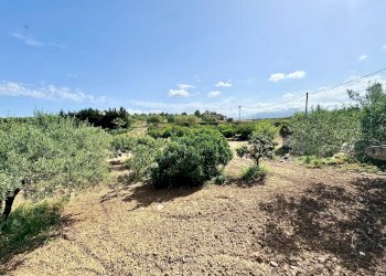 Foto 17 - Villa Bosco Falconeria
 
SNC, Partinico - foto 17