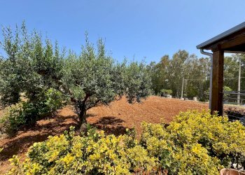 Foto 23 - Villa Contrada Sicciarotta, Balestrate - photo 23