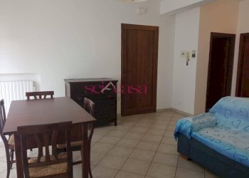 Foto 7 - Appartamento Castagneto Carducci - foto 7