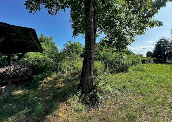 Terreno - Rustico via della Rivazza, Arsago Seprio - foto 5