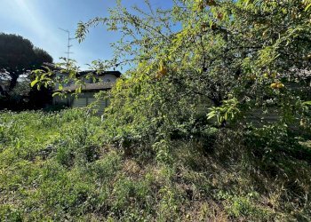 Terreno - Rustico via della Rivazza, Arsago Seprio - foto 7