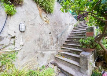 Giardino - Appartamento via San Giovanni Bono, Camogli - foto 49