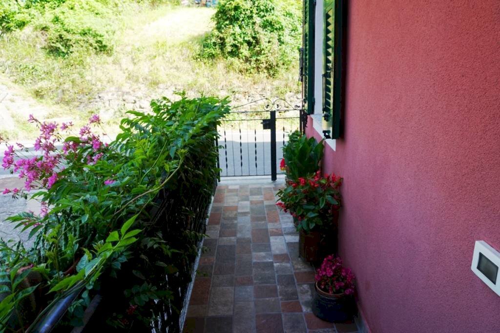 Balcone - Terraced Villa via Giovanni Bombrini, 36, Davagna - photo 3