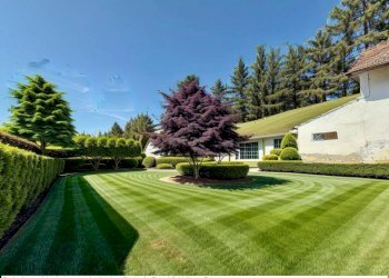 Giardino - Rustico Valgrana - foto 3