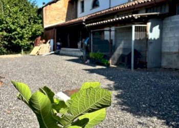 Facciata - Rustic strada Canelli, Nizza Monferrato - photo 4