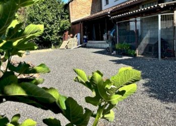 Giardino - Rustic strada Canelli, Nizza Monferrato - photo 5