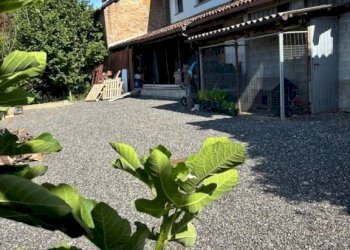 Giardino - Rustic strada Canelli, Nizza Monferrato - photo 6