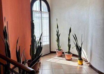 Interno palazzo - Rustic strada Canelli, Nizza Monferrato - photo 28