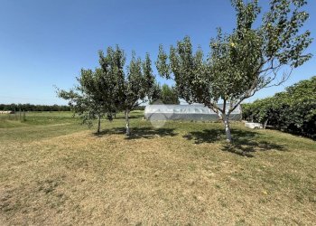 Rustic via dell'Industria, Gattatico - photo 23