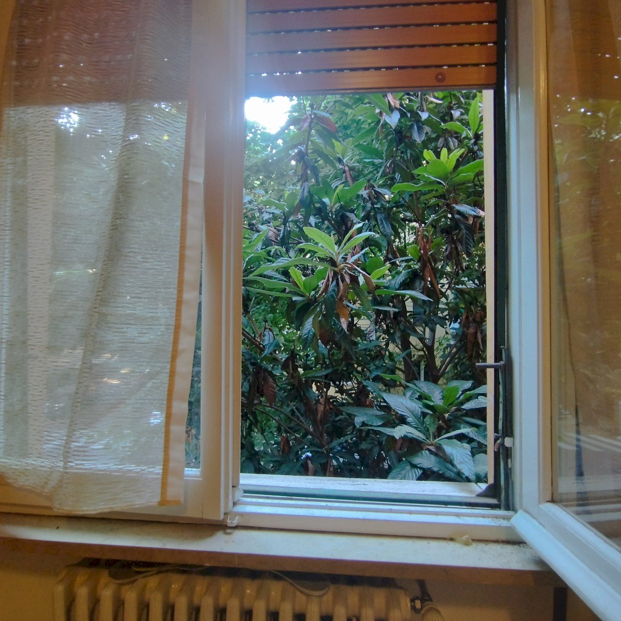 Terreno non edificabile Parma - foto 3