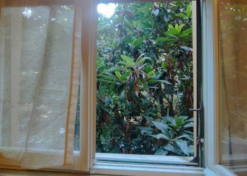 Terreno non edificabile Parma - foto 3